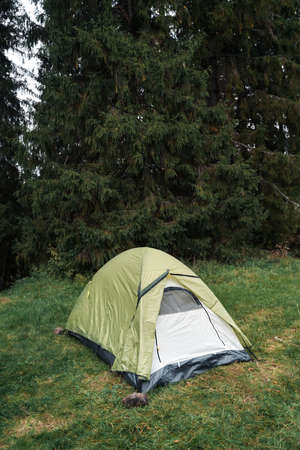 Tent for rest in the forestの写真素材