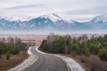Breathtaking snowy mountains view background. Asphalt road between spruce forest. Travelling conceptの写真素材