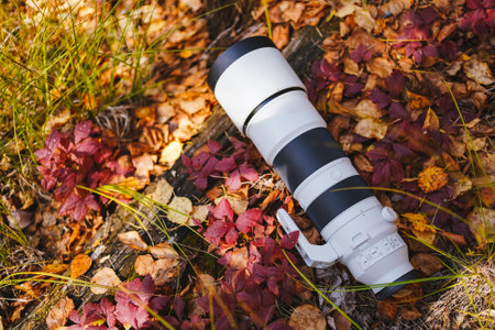 Big gray long-focus lens or telephoto lens lies in the forest on a log covered with dry yellow and red leaves. Photo hunting in natureの写真素材