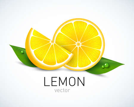Lemon slice with leaves isolated on white background. Vector illustration for decorative poster, emblem, natural product, farmers market. Perfect for packaging design of cosmetics and food.のイラスト素材