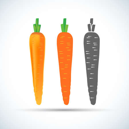 Colorful Carrots vector icon cartoon style isolated on white background. Carrot vector illustration. Carrot isolated black and color icons vector silhouette. Carrot, vegetable, food, vector flat style.のイラスト素材