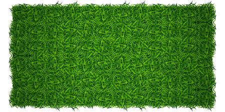 Green grass background. Lawn nature. Abstract field texture. Symbol of summer, plant, eco and natural, growth or fresh. Design for card, banner. Meadow template for print products. Vector illustrationのイラスト素材