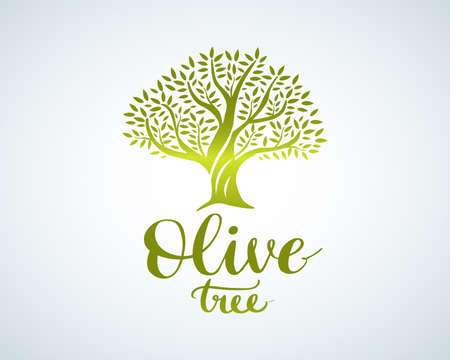 Elegant olive tree isolated icon. Vector tree logo design concept. Olive tree silhouette illustration. Natural olive oil tree plant emblem and brush lettering.のイラスト素材