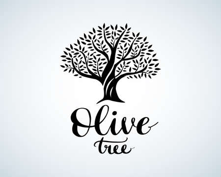 Elegant olive tree isolated icon. Vector tree logo design concept. Olive tree silhouette illustration. Natural olive oil tree plant emblem and brush lettering. Black and white version.のイラスト素材