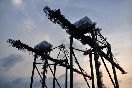 Container Cranesの写真素材