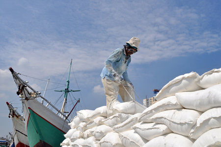 Indonesian port workers unload a ship with a flour bagsのeditorial素材
