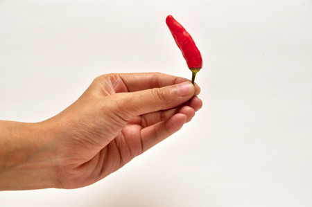 Hand holding fresh chili isolated on white backgroundの写真素材