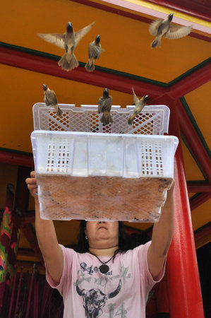 Old woman release bird in chinese lunar new year celebrationのeditorial素材