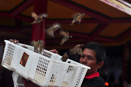People release bird in chinese lunar new year celebrationのeditorial素材