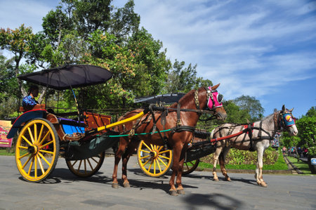 Borobudur, Indonesia - May 13, 2017: Horse-drawn carriage waiting for passengers at Borobudur Temple, Central Java - Indonesiaのeditorial素材