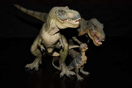 Family of Tirannosaurus rex.の写真素材