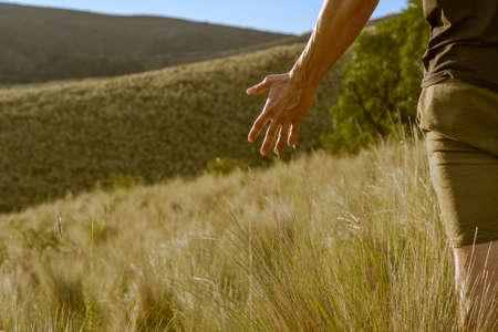 Close up of a man's hand touching the grass, 'feeling nature'の写真素材
