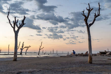 Drought-dead trees and cracked soil in dry lagoon. Climate change, global warming and water crisis.の写真素材
