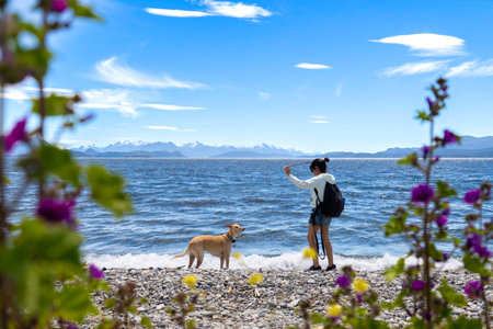 Young woman plays with her greyhound dog on the lake shore. She throws a stick at the dog.
