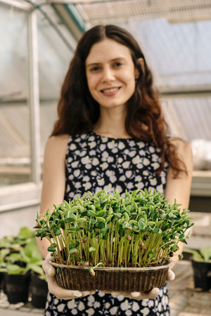 Scientist woman holding and showing the result of growing soybean seedlings in a greenhouse.の写真素材