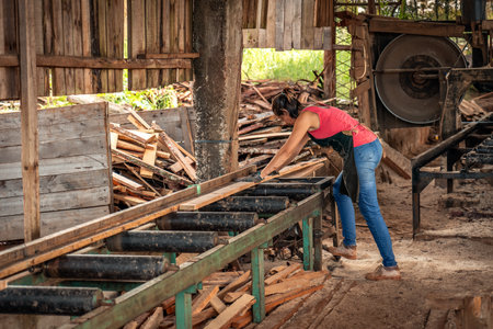 Portrait of middle-aged woman in apron working with a machine in a sawmill.の写真素材