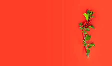 Christmas Covid coronavirus fundsの写真素材