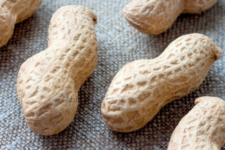 Peanuts on sackclothの写真素材
