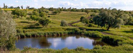 Well cow meadow near the lakeの写真素材
