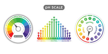 pH Scale Indicator Chart Diagram. pH analysis vector chemical scale value test. Acidic alkaline measureのイラスト素材