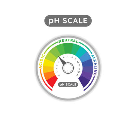 pH Scale Indicator Chart Diagram. pH analysis vector chemical scale value test. Acidic alkaline measureのイラスト素材