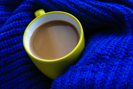 cup of coffee on a scarf in the autumnの写真素材