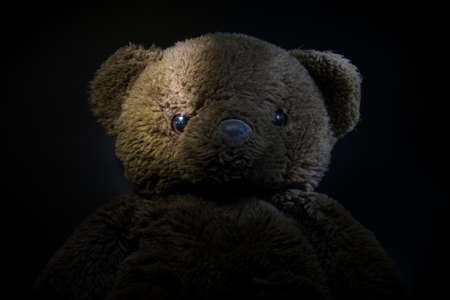 Brown teddy bear on a black backgroundの写真素材