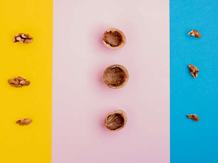 peel of walnuts on color papers, top view