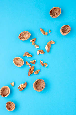 peel of walnuts on blue paper, top view. Verticalの写真素材