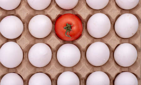 white eggs in box with one red tomato, top view
