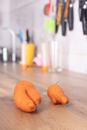Trendy ugly misshapen root vegetable on kitchen worktopの写真素材