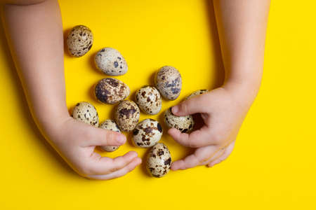 Kids hands holding many quail eggs on light yellow background. Concept of organic product. Top viewの写真素材