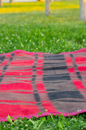Picnic rug or Beach mat on grass in summer sunny day, vertical