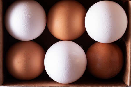 six brown and white chicken eggs, organic food for good health high protein in box. Top view