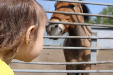 Beautiful country girl looking at the horseの写真素材