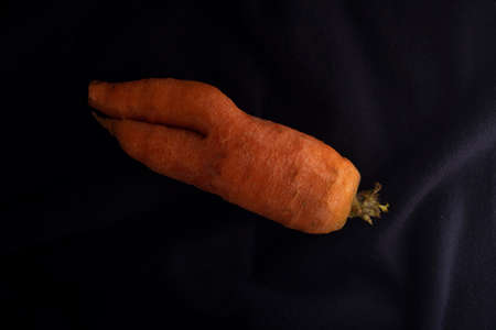 A fresh ugly carrot on blue textile. Dark background. Low key. Top viewの写真素材