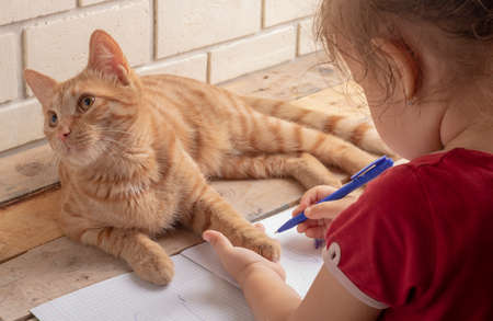 little girl is drawing with blue pen in preschool, horizontalの写真素材