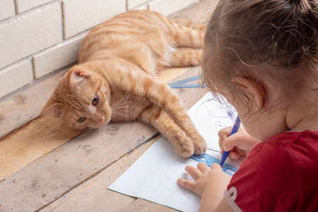 girl writing with pen homework, booksの写真素材