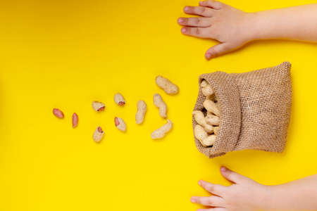 Unpeeled peanuts in canvas, burlap bags. Kid holding sackcloth. Flat lay. Place for text