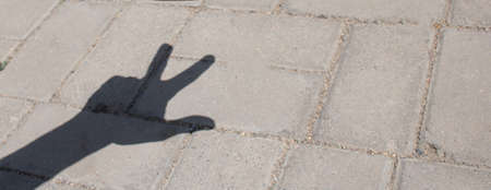 shadow of a mans hand on asphalt. Copy spaceの写真素材