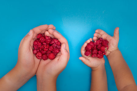 children holding fresh raw raspberriesの写真素材