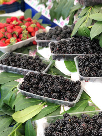 Blueberries, assorted with raspberries and black berries in containersの写真素材