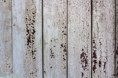 The surface of old boards with peeling white paint.の写真素材