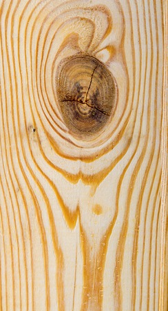 Intricate wood knot pattern on the surface of the boardの写真素材