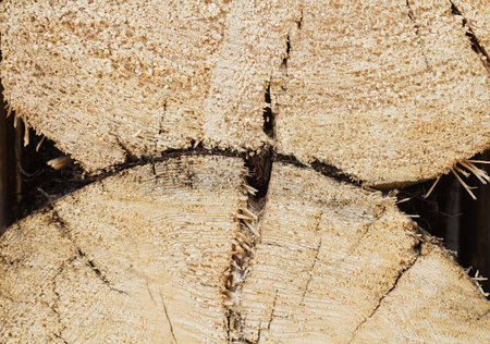connection logs in the wall of the wooden house. Backgroundの写真素材