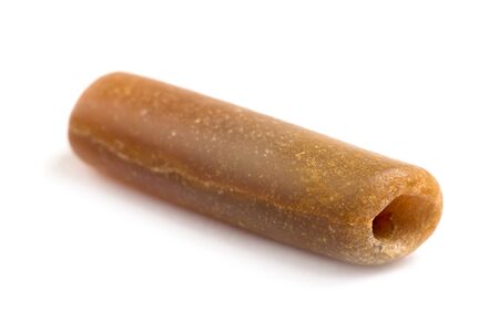 part petrified belemnite on a white backgroundの写真素材