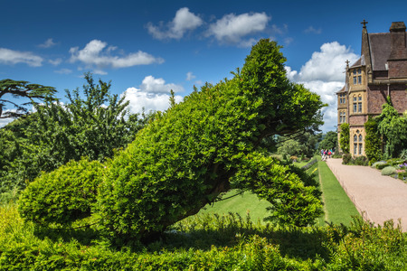 Tiverton, Devon, England, 13 July 2016: Victorian country house Knightshayes Court. Bush in the form of a running animal in the gardenのeditorial素材
