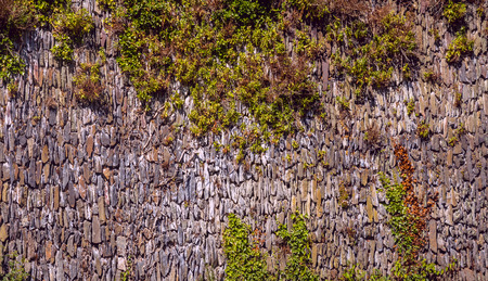 The texture of the old wall, overgrown plants. Masonry out of the narrow stones.