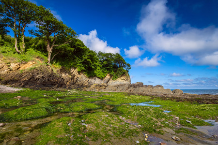 A colorful view of the north coast of Devon. Combe Martin Bay. Morning low tide. Englandの写真素材