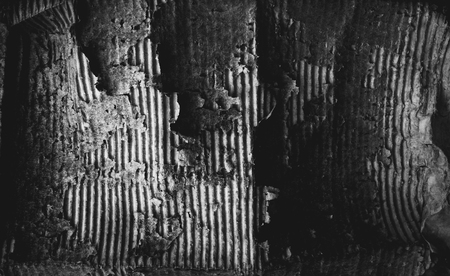 black-and-white photo of the old, torn cardboard. backgroundの写真素材